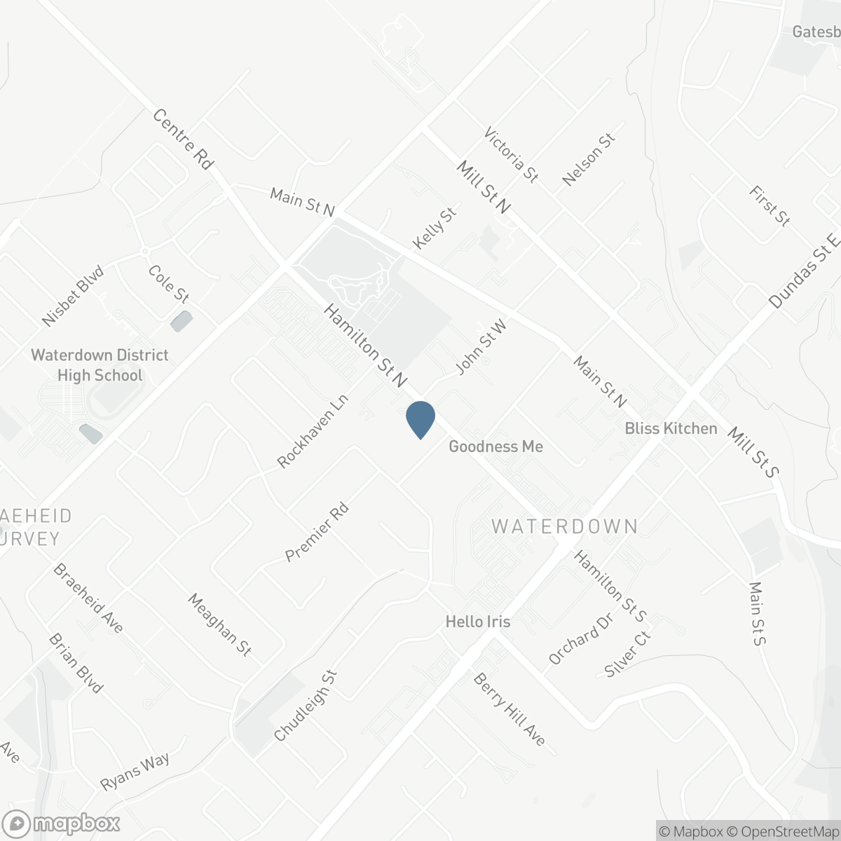 81 HAMILTON STREET N, Hamilton, Ontario L0R 2H0